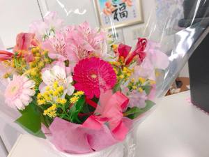 きれいなお花~~ きれいなお花~~