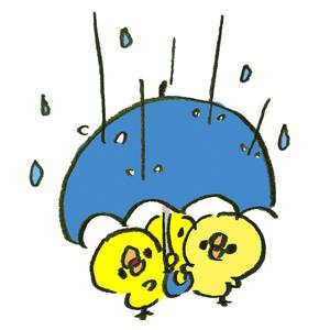 今日も雨ですね。 今日も雨ですね。
