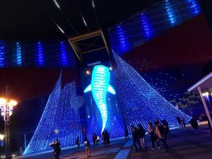 海遊館~~ 海遊館~~