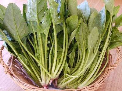 ほうれん草のイタリアンサラダ２種