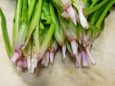ほうれん草のイタリアンサラダ２種