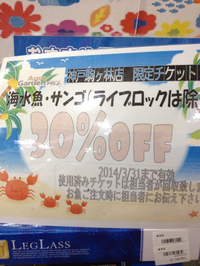 海水魚飼育セットがお買い得！
