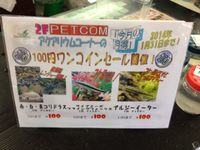 今月の魚！