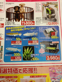 お買い得情報！