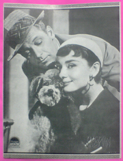 「麗しのサブリナ」1954年初公開時　プレスシート