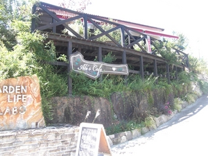 Alice Cafe