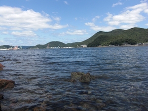 入れ食い
