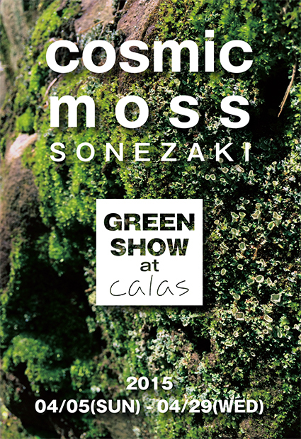 4月の展示「GREEN SHOW」でcalasが苔と植物にジャックされます。
