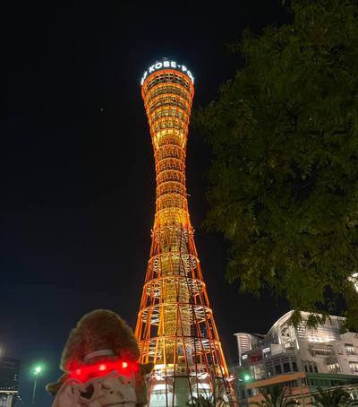 ポートタワーしばらく・・さようなら。綺麗になってまた逢える日まで ポートタワーしばらく・・さようなら。綺麗になってまた逢える日まで