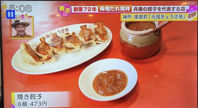 ニュースキャッチプラス サンテレビ「兵庫必食餃子」で放送されました! ニュースキャッチプラス サンテレビ「兵庫必食餃子」で放送されました!