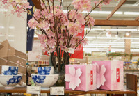 桜の小物を身につけて