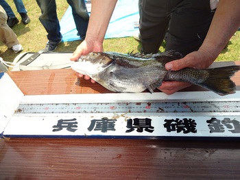 第16回　兵庫県民釣大会