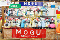 お得なMOGUのパッケージ「ハッピーセット」