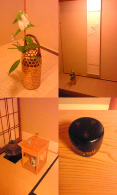 茶花