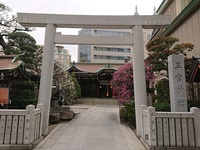 三野宮神社と梅の花