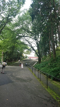 夏の盛りに比叡山延暦寺　一隅を照らす