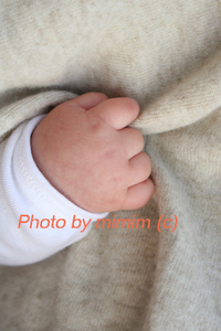 赤ちゃんの手　Babys　hand