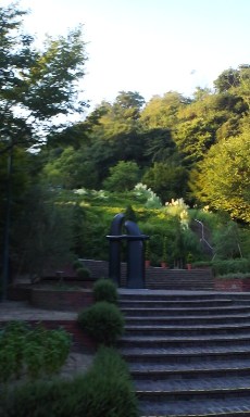 100904_1730~01.jpg