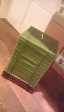 IMAG0557.jpg