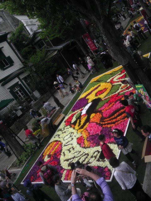 2012インフィオラータラブ神戸.jpg