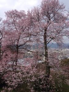 IMG_6641.jpg