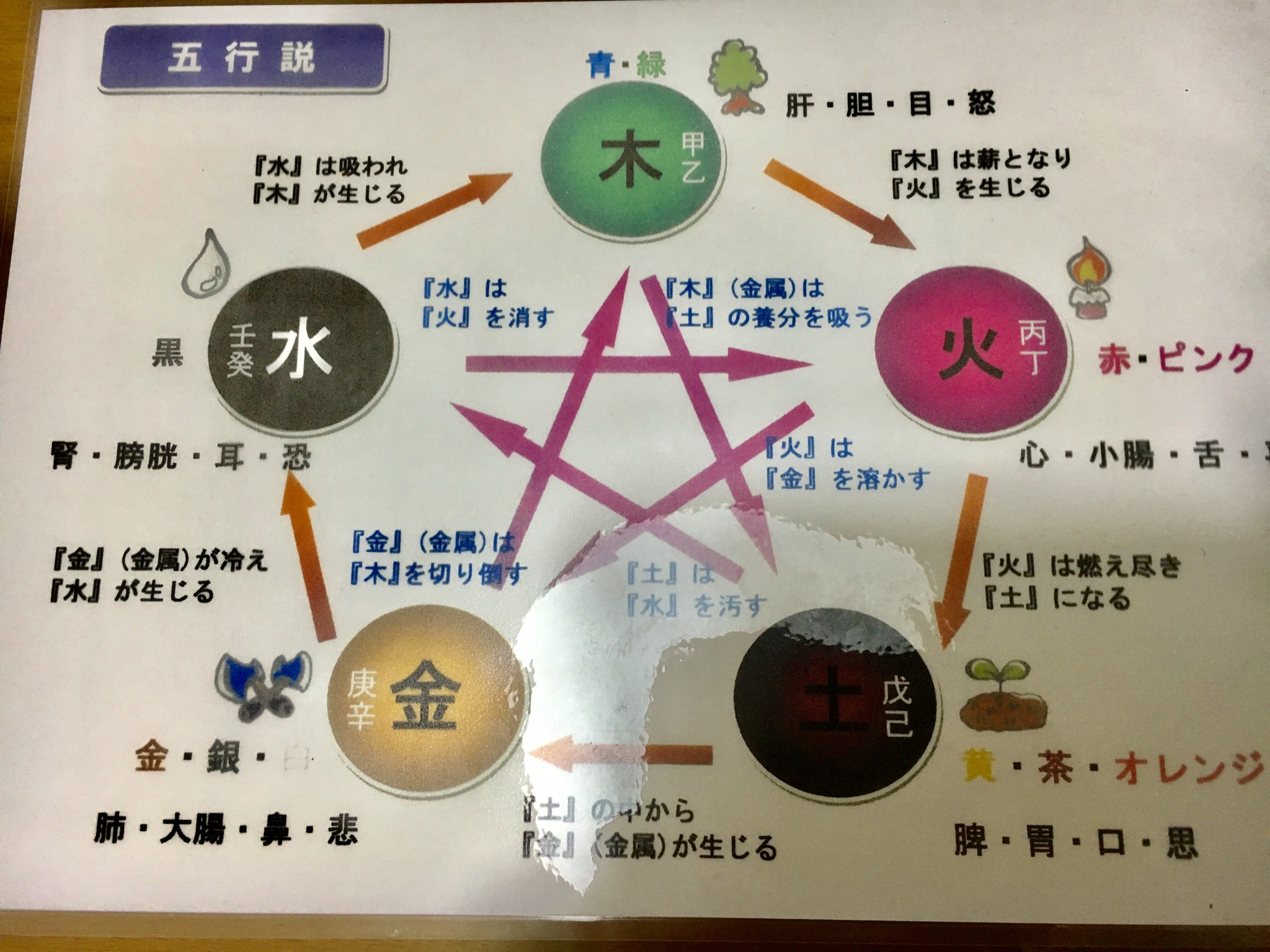 樽谷和静さんのカラー氣質鑑定で色を味方に、もっと輝く! 樽谷和静さんのカラー氣質鑑定で色を味方に、もっと輝く!