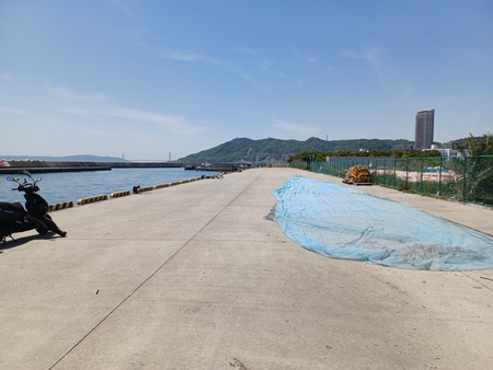 2025年5月5日 釣り場巡回(須磨漁港~明石市役所裏) 2025年5月5日 釣り場巡回(須磨漁港~明石市役所裏)