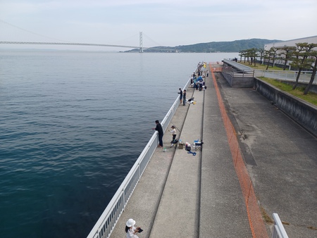 2025年5月5日 釣り場巡回(須磨漁港~明石市役所裏) 2025年5月5日 釣り場巡回(須磨漁港~明石市役所裏)