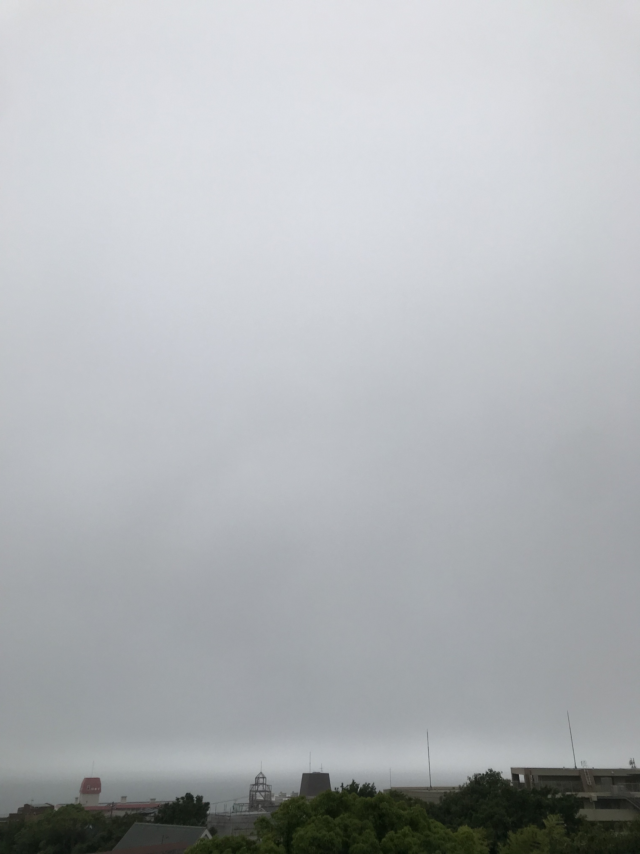 浄化?の雨雨雨。 浄化?の雨雨雨。