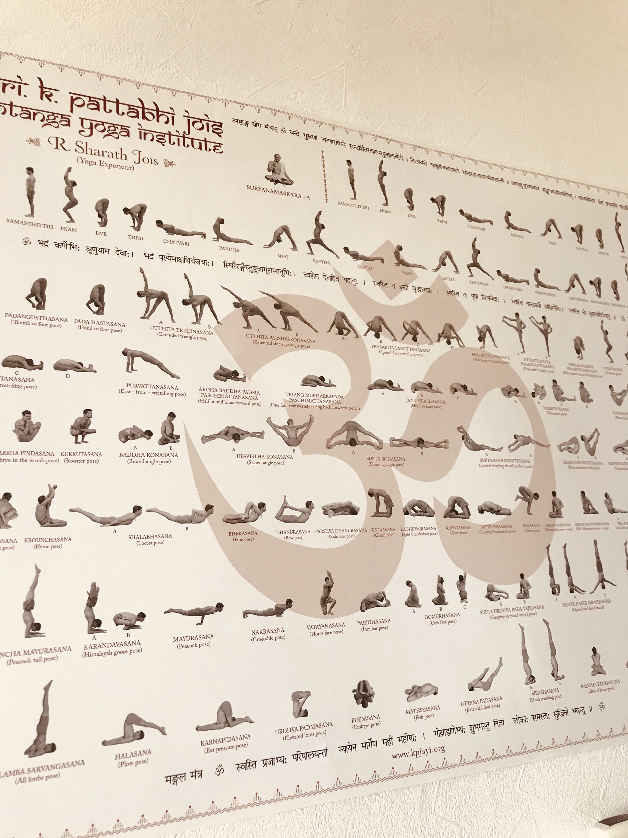 shantiyoga 新クラスのお知らせ shantiyoga 新クラスのお知らせ