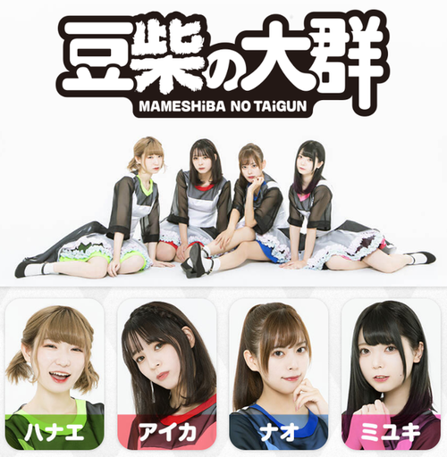 【アイドル】豆柴の大群から目が離せない【水曜日のダウンタウン】 【アイドル】豆柴の大群から目が離せない【水曜日のダウンタウン】