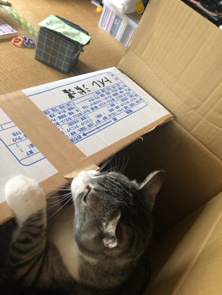 お引越し~(*´ω`*)! お引越し~(*´ω`*)!