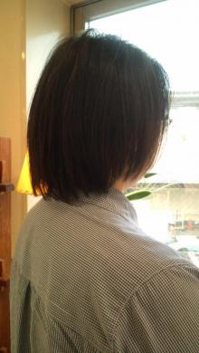 20110620134537.jpg