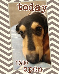 ♥️本日open♥️ 2020/05/24 10:06:05