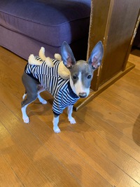 ❤️今日からの営業時間❤️ 2021/11/15 08:38:06