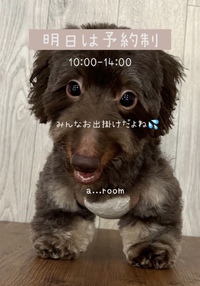 ❤️明日は予約制❤️ 2024/08/12 18:37:24