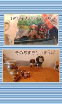 ♥️明日～営業時間♥️ 2018/02/18 13:05:06