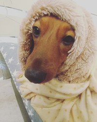 ♥️今日～営業時間♥️ 2019/01/27 12:56:36