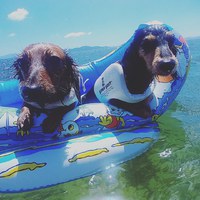 ♥️琵琶湖一泊旅行♥️ 2018/08/20 08:40:24