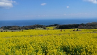♥️明日～営業時間♥️ 2018/04/08 22:41:03