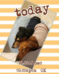 ♥️営業時間変更♥️ 2020/05/20 09:20:45