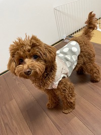 ❤️今日からの営業時間❤️ 2022/01/24 07:59:52