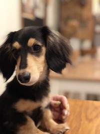 ♥️明日～営業時間♥️ 2017/12/03 23:07:08