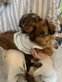 ❤️今日からの営業時間❤️ 2021/06/28 08:23:58