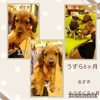♥️今年もお世話になりました♥️ 2017/12/31 19:54:08