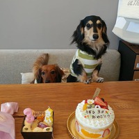 ♥️明日～営業時間♥️ 2020/04/26 18:20:47