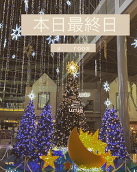 ❤️今日でumie最終日❤️ 2020/11/29 16:45:25