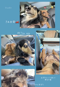 ❤️最後の夏休みでした❤️ 2024/09/09 12:38:12