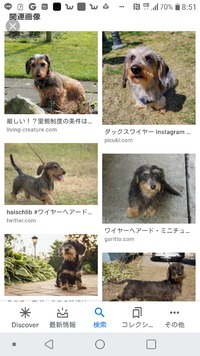 ♥️看板犬新人です♥️ 2020/06/01 16:44:54