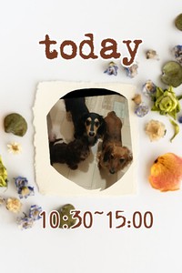 ★今日営業時間変更★ 2020/06/19 09:22:17